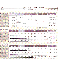 전후사진