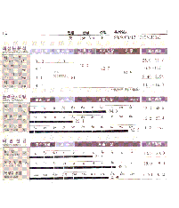 전후사진