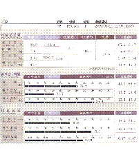 전후사진