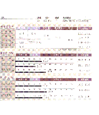 전후사진