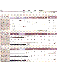 전후사진