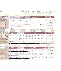 전후사진