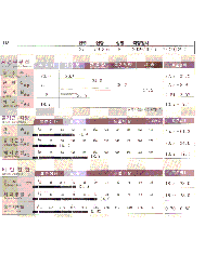 전후사진