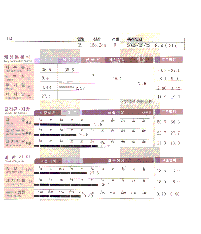 전후사진