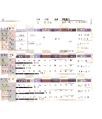 전후사진