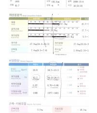 전후사진