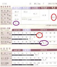 전후사진
