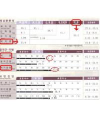 전후사진