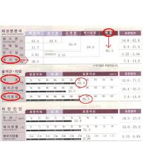 전후사진