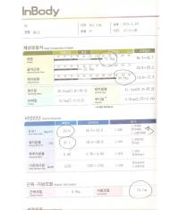 전후사진