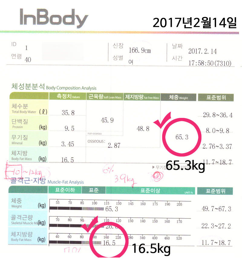 전후사진