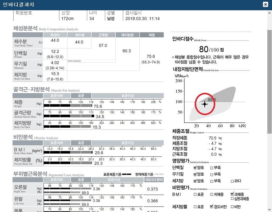 전후사진