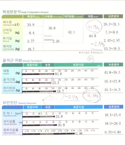 전후사진