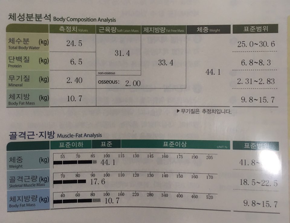 전후사진