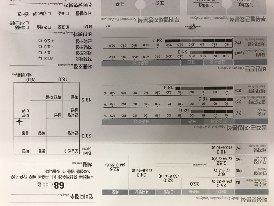 전후사진