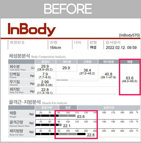 전후사진