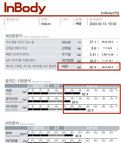 전후사진