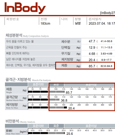 전후사진