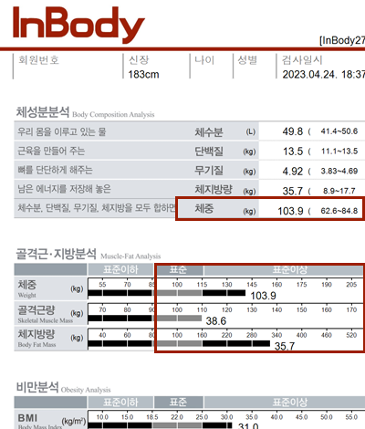 전후사진