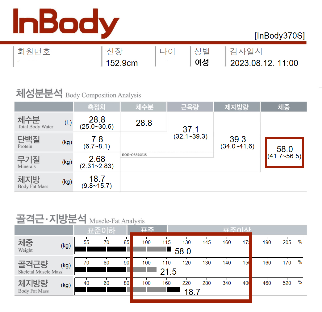 전후사진