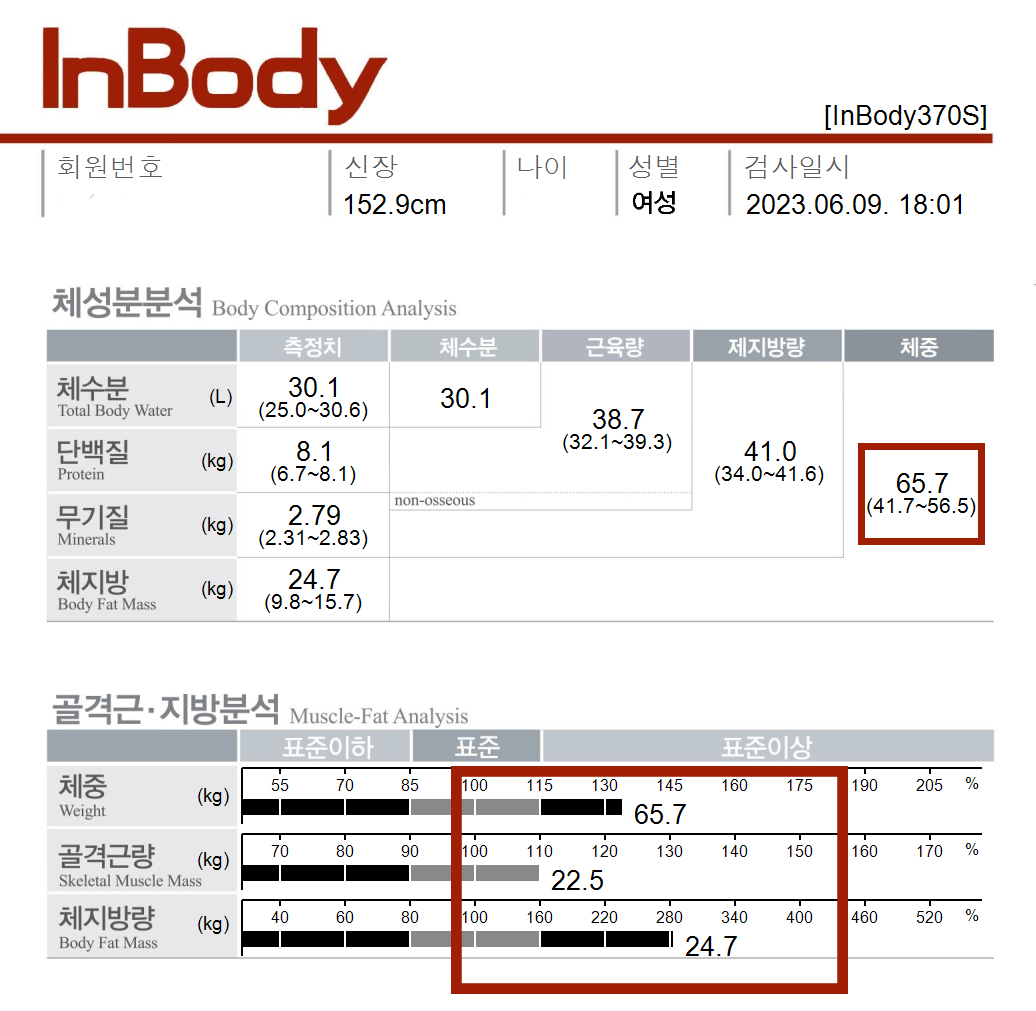 전후사진