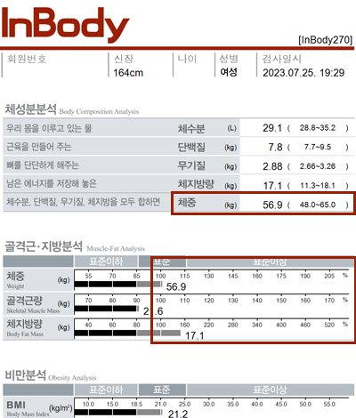 전후사진