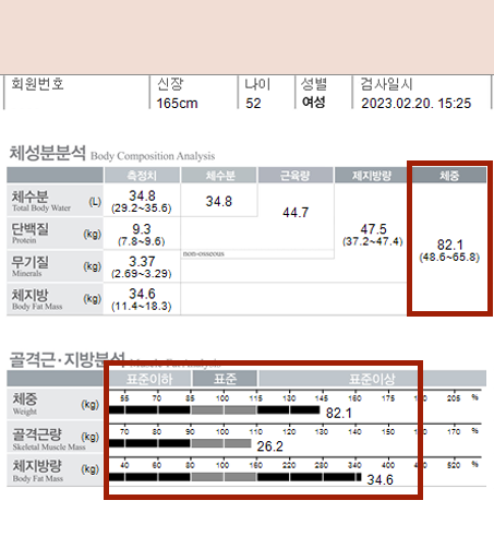 전후사진