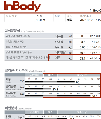 전후사진