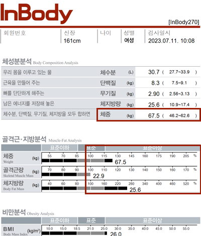 전후사진