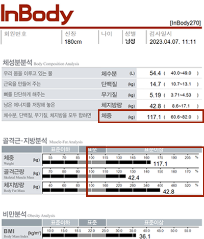 전후사진