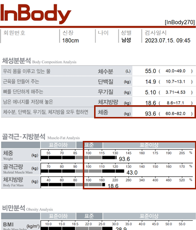 전후사진