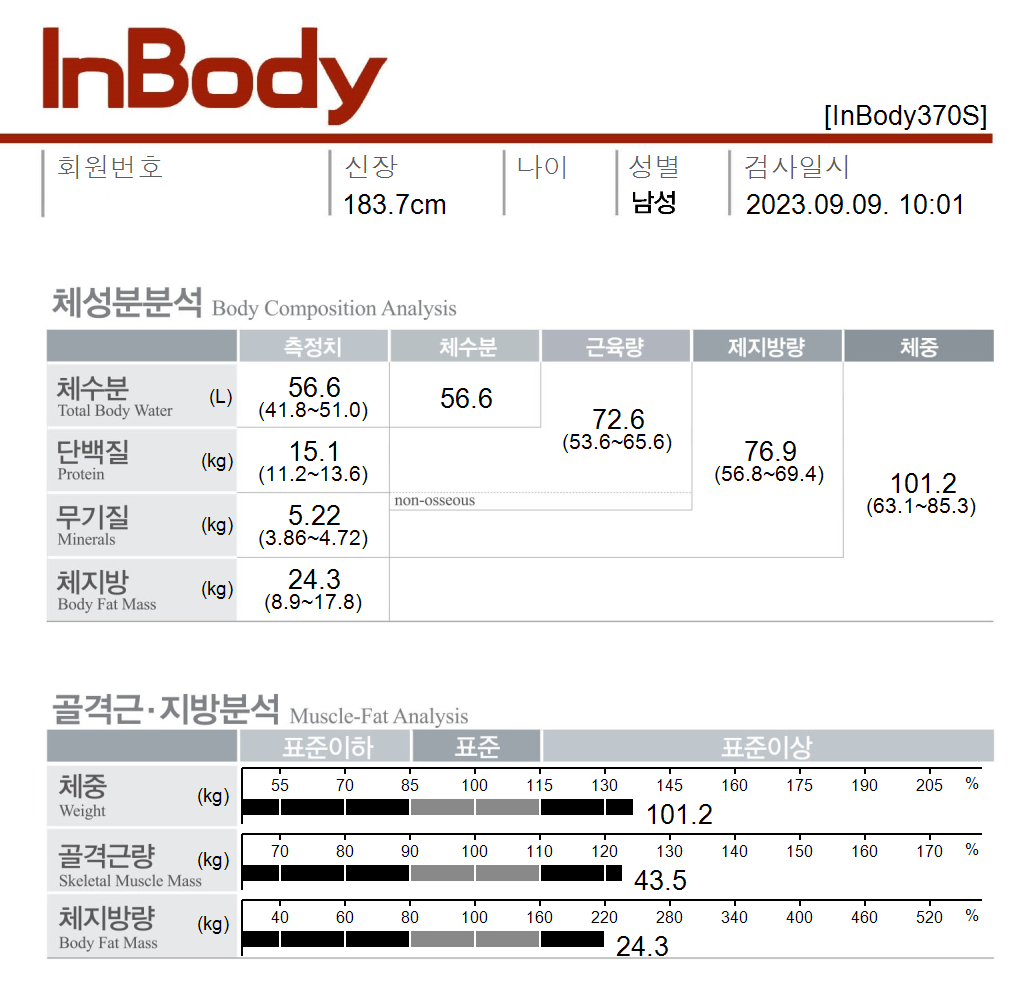 전후사진