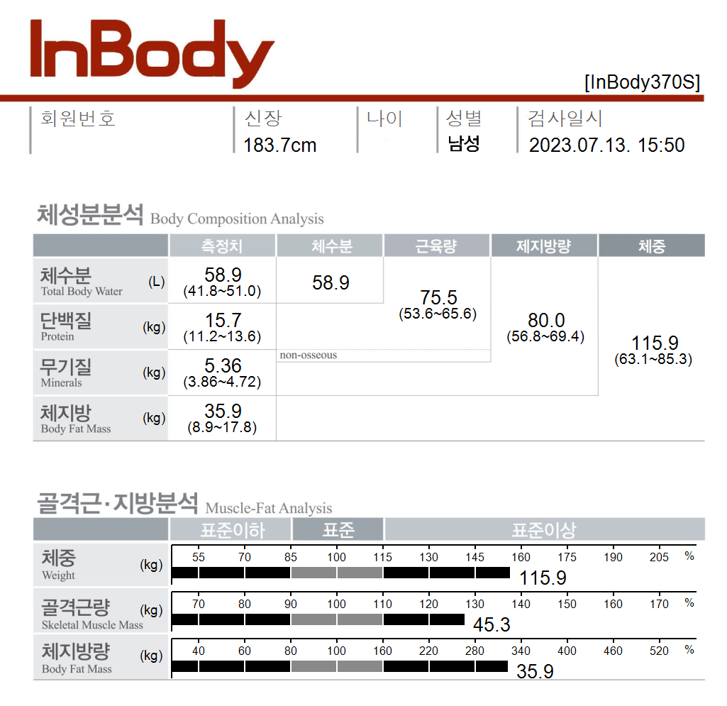 전후사진