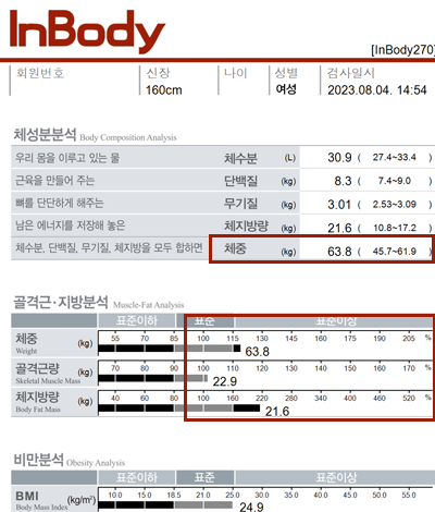 전후사진