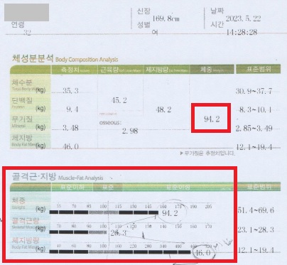 전후사진