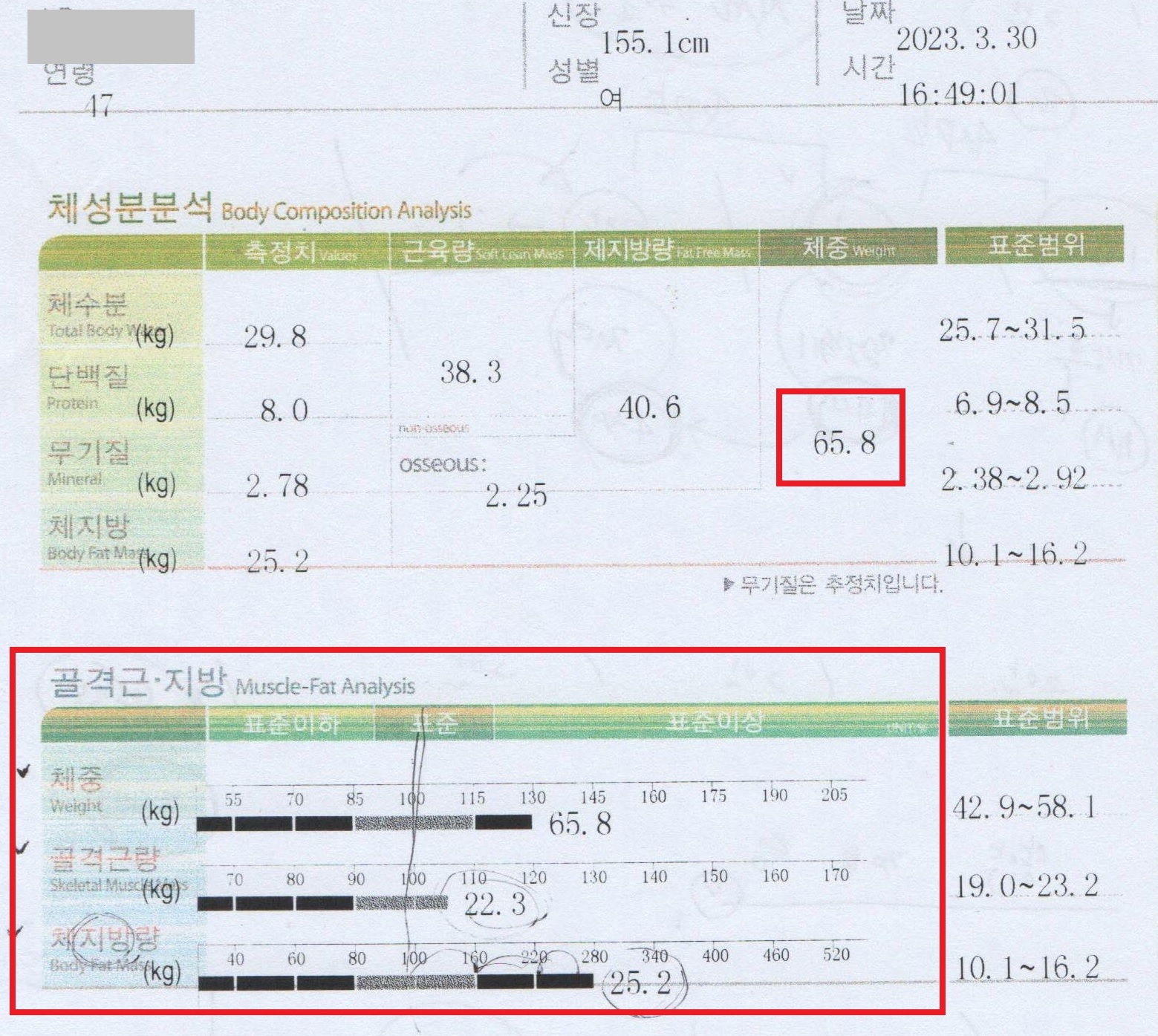 전후사진