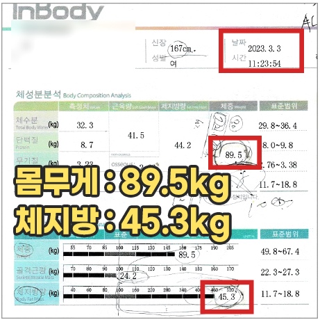 전후사진