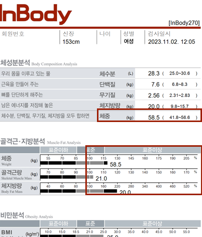 전후사진