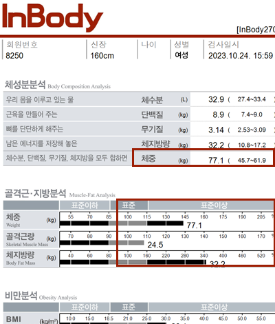 전후사진