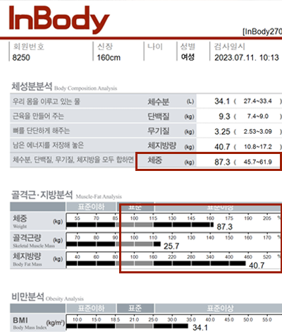 전후사진