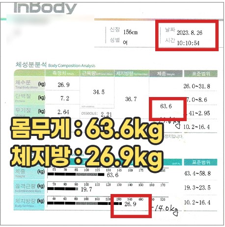 전후사진