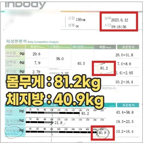 전후사진