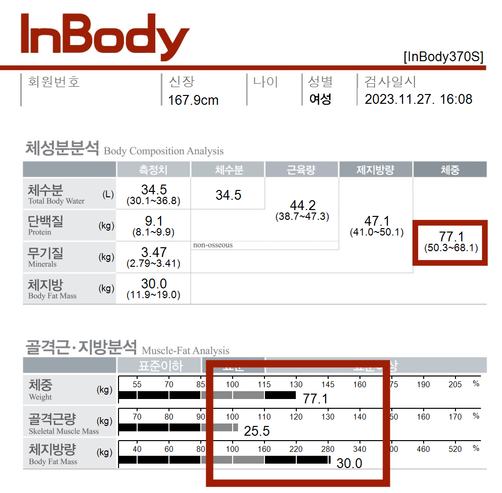 전후사진