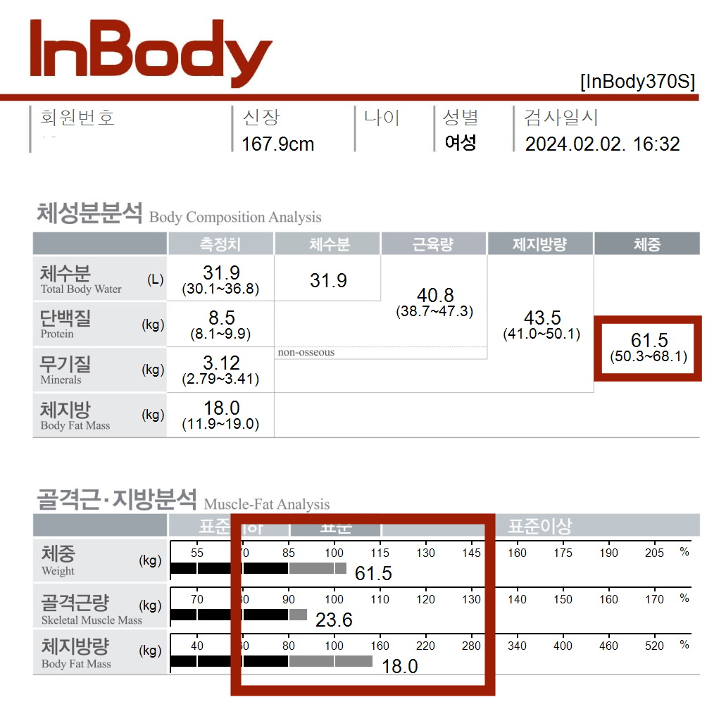 전후사진