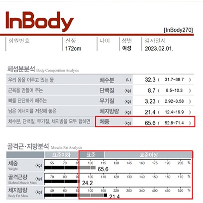 전후사진