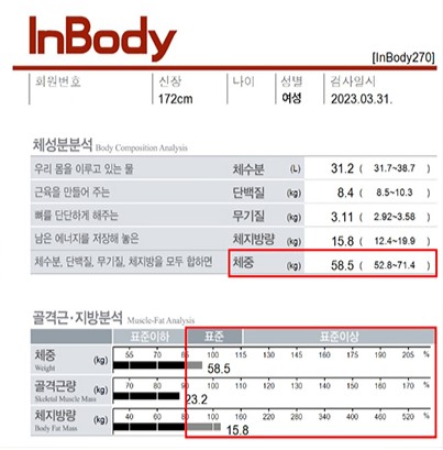 전후사진