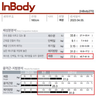 전후사진