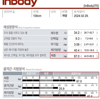 전후사진