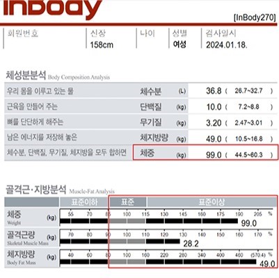 전후사진