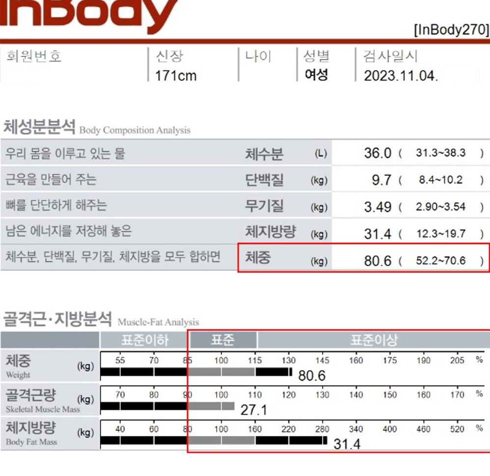 전후사진